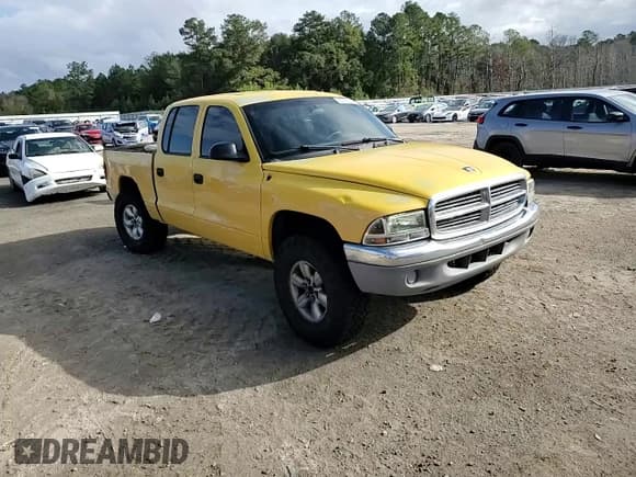 ✅ 2003 Dodge Dakota SLT • VIN: 1D7HG48N13S342545 • Lot: 80677314. Wystawiony na Copart z przebiegiem 183 922 mil. Bezpłatny archiwum sprzedaży aukcyjnych z USA i szczegółowy raport historii pojazdu na DreamBid. Zdjęcie 10.