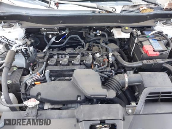 ✅ 2024 Honda CR-V EX • VIN: 7FARS3H41RE002272 • Lot: 42108364. Listed on IAAI with 11,436 mi. Free auction sales archive from the USA and detailed vehicle history report at DreamBid. Image 10.