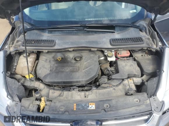 ✅ 2013 Ford Escape SEL • VIN: 1FMCU9H91DUD38428 • Лот: 57466025. Опубликован ранее на Copart с пробегом 106 858 миль. Бесплатный доступ к архиву аукционных продаж из США и подробный отчёт об истории автомобиля на DreamBid. Изображение 12.