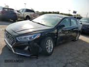 ✅ 2019 Hyundai Sonata SE • VIN: 5NPE24AF8KH787831 • Лот: 59410682. Опубликован ранее на Copart с пробегом 54 241 миль. Бесплатный доступ к архиву аукционных продаж из США и подробный отчёт об истории автомобиля на DreamBid. Изображение 2.