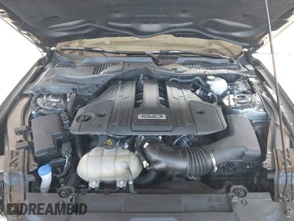 ✅ 2022 Ford Mustang GT • VIN: 1FA6P8CF6N5149498 • Lot: 43133851. Listed on IAAI with 26,729 mi. Free auction sales archive from the USA and detailed vehicle history report at DreamBid. Image 10.