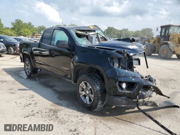 2018 Chevrolet Colorado 4WD Z71 with VIN 1GCHTDENXJ1139344, listed as a Copart auction lot 63610974 with Not provided miles and Non repairable. Bid and sale history available at DreamBid. Image 4.