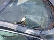 ✅ 2015 Volkswagen Passat SEL Premium • VIN: 1VWCV7A33FC051772 • Лот: 42885331. Опубликован ранее на IAAI с пробегом Не указан. Бесплатный доступ к архиву аукционных продаж из США и подробный отчёт об истории автомобиля на DreamBid. Изображение 17.