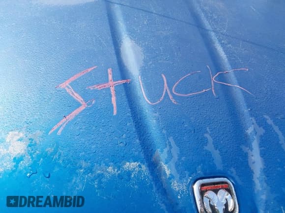 ✅ 2001 Dodge Dakota Sport • VIN: 1B7GL2AN21S143095 • Lot: 41481027. Wystawiony na IAAI z przebiegiem 253 540 mil. Bezpłatny archiwum sprzedaży aukcyjnych z USA i szczegółowy raport historii pojazdu na DreamBid. Zdjęcie 10.