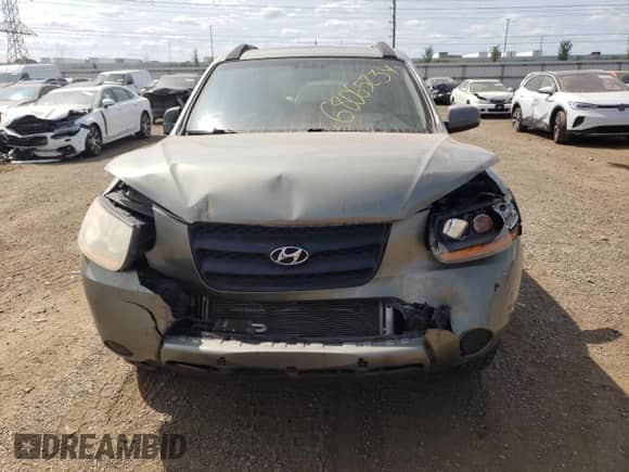 2008 Hyundai Santa Fe GLS with VIN 5NMSG13D08H161310, listed as a Copart auction lot 68065324 with Not provided miles and Salvage title. Bid and sale history available at DreamBid. Image 5.