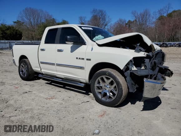 ✅ 2010 Dodge 1500 SLT • VIN: 1D7RB1GT0AS226266 • Lot: 49709575. Wystawiony na Copart z przebiegiem 257 527 mil. Bezpłatny archiwum sprzedaży aukcyjnych z USA i szczegółowy raport historii pojazdu na DreamBid. Zdjęcie 4.