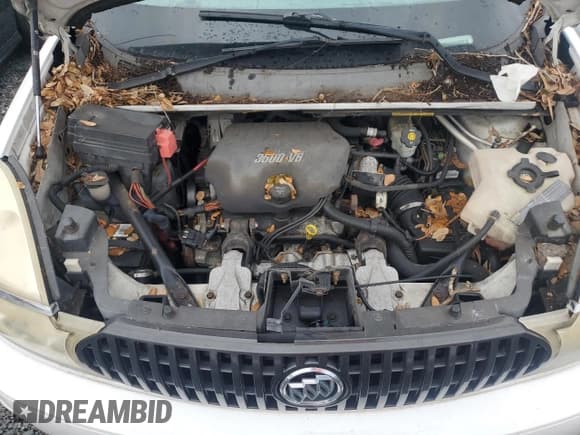 ✅ 2007 Buick Rendezvous CX • VIN: 3G5DA03L87S510854 • Lot: 74775024. Listed on Copart with Not provided. Free auction sales archive from the USA and detailed vehicle history report at DreamBid. Image 11.