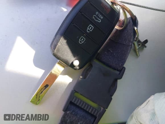 ✅ 2023 Kia Rio S • VIN: 3KPA24AD7PE615833 • Лот: 42312081. Опубликован ранее на IAAI с пробегом 29 354 миль. Бесплатный доступ к архиву аукционных продаж из США и подробный отчёт об истории автомобиля на DreamBid. Изображение 11.