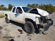 ✅ 2009 Chevrolet Silverado 1500 Work Truck • VIN: 1GCEK19009Z155021 • Lot: 75193364. Listed on Copart with 258,850 mi. Free auction sales archive from the USA and detailed vehicle history report at DreamBid. Image 4.