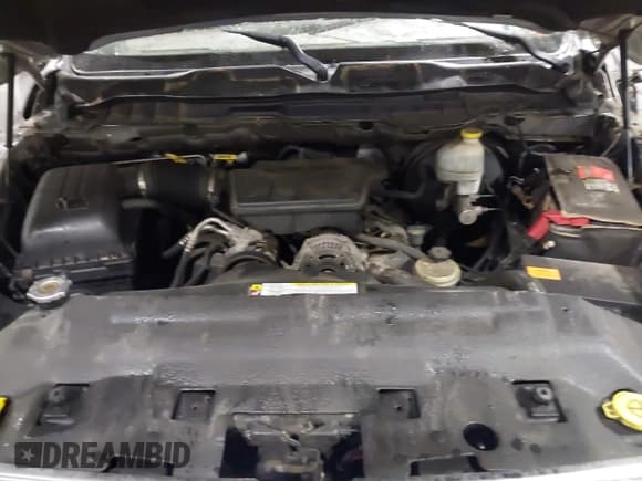 ✅ 2009 Dodge 1500 SLT • VIN: 1D3HV13P69S731303 • Lot: 39212979. Wystawiony na IAAI z przebiegiem 121 124 mil. Bezpłatny archiwum sprzedaży aukcyjnych z USA i szczegółowy raport historii pojazdu na DreamBid. Zdjęcie 10.