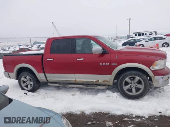 2010 Dodge 1500 Sport z VIN 1D7RV1CT6AS215298, wystawiony jako IAAI lot #41302229 z przebiegiem 299 836 mil mil oraz . Historia ofert i sprzedaży dostępna na DreamBid. Obrazek 13.