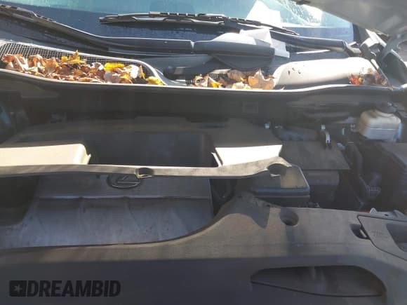 ✅ 2010 Lexus RX 350 • VIN: 2T2ZK1BA6AC020639 • Lot: 43800802. Listed on IAAI with 212,516 mi. Free auction sales archive from the USA and detailed vehicle history report at DreamBid. Image 10.