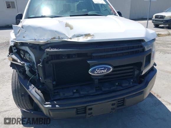✅ 2019 Ford F-150 XL • VIN: 1FTEX1C50KKC03721 • Lot: 42449106. Wystawiony na IAAI z przebiegiem 117 282 mil. Bezpłatny archiwum sprzedaży aukcyjnych z USA i szczegółowy raport historii pojazdu na DreamBid. Zdjęcie 6.