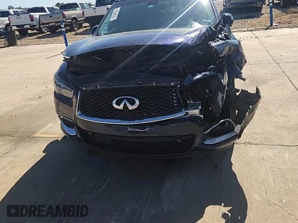 ✅ 2016 Infiniti QX60 • VIN: 5N1AL0MN9GC519084 • Lot: 82648505. Wystawiony na Copart z przebiegiem 96 143 mil. Bezpłatny archiwum sprzedaży aukcyjnych z USA i szczegółowy raport historii pojazdu na DreamBid. Zdjęcie 14.