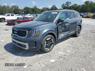 ✅ 2024 Kia Telluride EX • VIN: 5XYP34GC5RG481867 • Lot: 81043795. Listed on Copart with 24,550 mi. Free auction sales archive from the USA and detailed vehicle history report at DreamBid. Image 1.