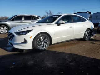 2022 Hyundai Sonata Blue с VIN KMHL24JJ0NA041716, выставлен на аукционе Copart как лот 48356795 с пробегом 35 653 миль миль и Списание • Salvage title. История ставок и продаж доступна на DreamBid. Изображение 1.