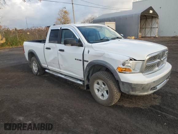 2010 Dodge 1500 SLT with VIN 1D7RV1GT5AS157324, listed as a Copart auction lot 78464954 with 104,366 mi miles and Salvage title. Bid and sale history available at DreamBid. Image 4.