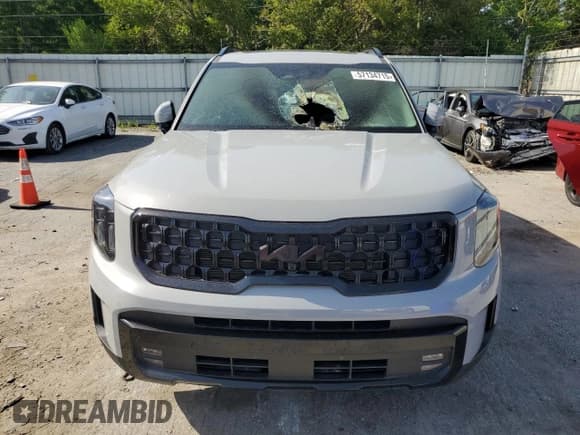 ✅ 2025 Kia Telluride SX X-Line • VIN: 5XYP5DGC3SG568800 • Lot: 57134715. Wystawiony na Copart z przebiegiem Nie podano. Bezpłatny archiwum sprzedaży aukcyjnych z USA i szczegółowy raport historii pojazdu na DreamBid. Zdjęcie 5.