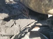 ✅ 2021 Tesla Model S Long Range • VIN: 5YJSA1E54MF455294 • Lot: 84643965. Listed on Copart with Not provided. Free auction sales archive from the USA and detailed vehicle history report at DreamBid. Image 9.