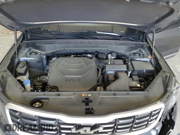 ✅ 2024 Kia Telluride S • VIN: 5XYP64GC7RG478105 • Lot: 53883025. Wystawiony na Copart z przebiegiem 14 920 mil. Bezpłatny archiwum sprzedaży aukcyjnych z USA i szczegółowy raport historii pojazdu na DreamBid. Zdjęcie 12.