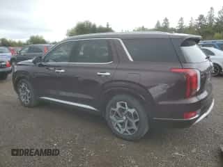 2021 Hyundai Palisade Limited с VIN KM8R5DHE6MU291047, выставлен на аукционе Copart как лот 72892824 с пробегом 118 457 миль миль и Списание • Salvage title. История ставок и продаж доступна на DreamBid. Изображение 2.