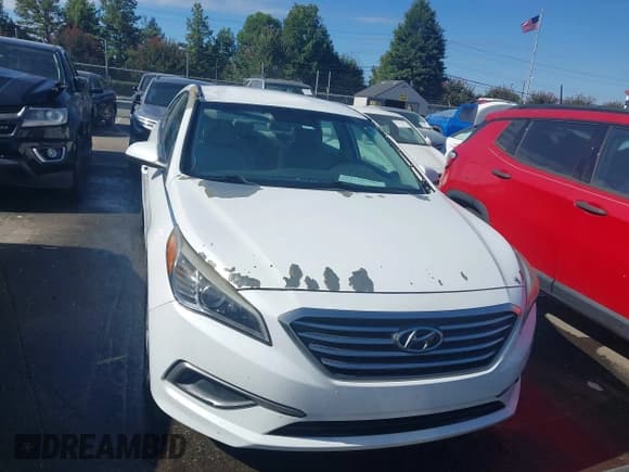 ✅ 2016 Hyundai Sonata SE • VIN: 5NPE24AF2GH405638 • Лот: 43165135. Опубликован ранее на IAAI с пробегом 98 653 миль. Бесплатный доступ к архиву аукционных продаж из США и подробный отчёт об истории автомобиля на DreamBid. Изображение 12.
