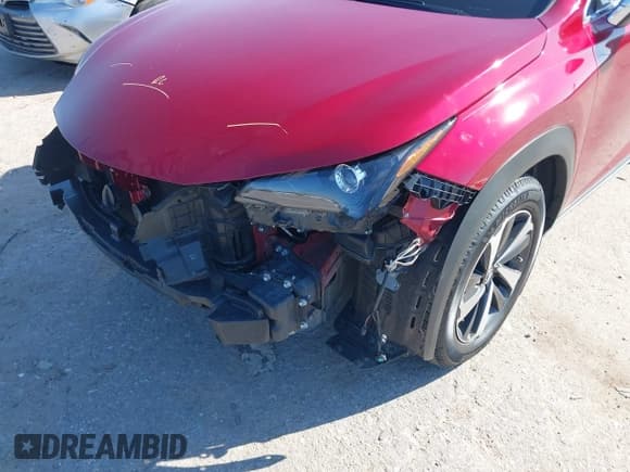 ✅ 2019 Lexus NX 300 • VIN: JTJYARBZ9K2124692 • Lot: 43331166. Listed on IAAI with 76,249 mi. Free auction sales archive from the USA and detailed vehicle history report at DreamBid. Image 18.