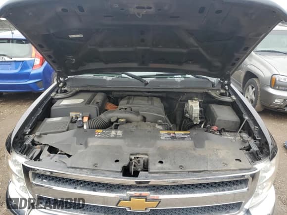 ✅ 2013 Chevrolet Silverado 1500 1HY • VIN: 3GCUKUEJ6DG130726 • Lot: 51136755. Listed on Copart with 279,793 mi. Free auction sales archive from the USA and detailed vehicle history report at DreamBid. Image 11.