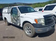 ✅ 2013 Ford F-150 XL • VIN: 1FTMF1CM5DKD84369 • Lot: 42185654. Wystawiony na IAAI z przebiegiem Nie podano. Bezpłatny archiwum sprzedaży aukcyjnych z USA i szczegółowy raport historii pojazdu na DreamBid. Zdjęcie 1.