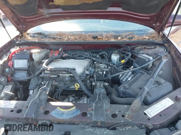 ✅ 2004 Chevrolet Impala • VIN: 2G1WF55E649235355 • Lot: 40881680. Listed on IAAI with 119,816 mi. Free auction sales archive from the USA and detailed vehicle history report at DreamBid. Image 10.