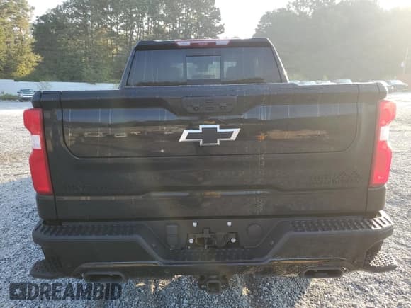 ✅ 2024 Chevrolet Silverado 1500 High Country • VIN: 1GCUDJE81RZ365516 • Lot: 81004435. Listed on Copart with 17,109 mi. Free auction sales archive from the USA and detailed vehicle history report at DreamBid. Image 6.