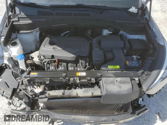 ✅ 2017 Hyundai Santa Fe 2.4L • VIN: 5XYZUDLBXHG497239 • Lot: 66854874. Wystawiony na Copart z przebiegiem 53 167 mil. Bezpłatny archiwum sprzedaży aukcyjnych z USA i szczegółowy raport historii pojazdu na DreamBid. Zdjęcie 12.