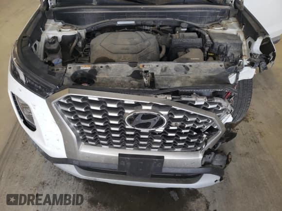 ✅ 2022 Hyundai Palisade SEL • VIN: KM8R4DHE1NU401684 • Лот: 71190944. Опубликован ранее на Copart с пробегом 110 105 миль. Бесплатный доступ к архиву аукционных продаж из США и подробный отчёт об истории автомобиля на DreamBid. Изображение 13.