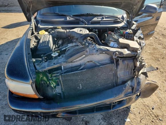 ✅ 1999 Dodge Durango • VIN: 1B4HS28Z9XF644192 • Lot: 82695095. Wystawiony na Copart z przebiegiem 151 459 mil. Bezpłatny archiwum sprzedaży aukcyjnych z USA i szczegółowy raport historii pojazdu na DreamBid. Zdjęcie 12.