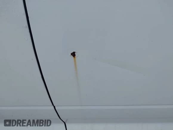 2017 Ram 1500 SLT z VIN 1C6RR6GG4HS676025, wystawiony jako IAAI lot #43585212 z przebiegiem 95 645 mil mil oraz . Historia ofert i sprzedaży dostępna na DreamBid. Obrazek 18.