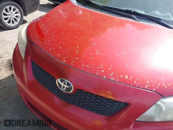 ✅ 2010 Toyota Corolla • VIN: 1NXBU4EE1AZ186145 • Lot: 42318162. Listed on IAAI with 200,416 mi. Free auction sales archive from the USA and detailed vehicle history report at DreamBid. Image 14.