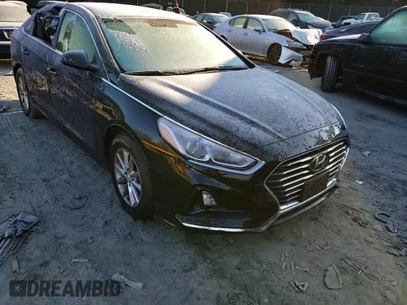 ✅ 2019 Hyundai Sonata SE • VIN: 5NPE24AF2KH763931 • Lot: 71538432. Listed on Copart with 81,372 mi. Free auction sales archive from the USA and detailed vehicle history report at DreamBid. Image 11.