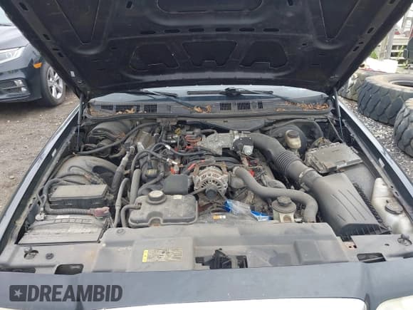 ✅ 2008 Ford Police Interceptor • VIN: 2FAHP71V68X178659 • Lot: 42571480. Listed on IAAI with Not provided. Free auction sales archive from the USA and detailed vehicle history report at DreamBid. Image 10.