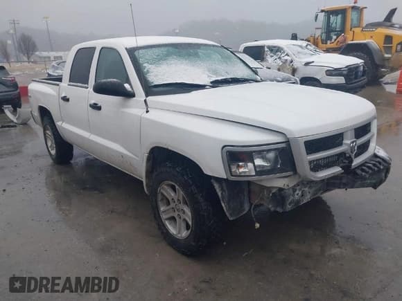 ✅ 2010 Dodge Dakota Bighorn/Lonestar • VIN: 1D7CW3GK0AS228256 • Lot: 41552140. Wystawiony na IAAI z przebiegiem 195 566 mil. Bezpłatny archiwum sprzedaży aukcyjnych z USA i szczegółowy raport historii pojazdu na DreamBid. Zdjęcie 1.