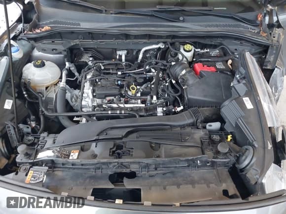 ✅ 2021 Ford Escape SE • VIN: 1FMCU9G6XMUA28446 • Lot: 43619819. Listed on IAAI with Not provided. Free auction sales archive from the USA and detailed vehicle history report at DreamBid. Image 10.