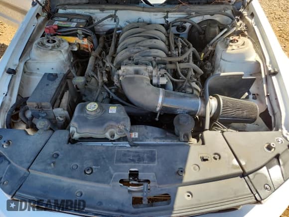 ✅ 2009 Ford Mustang GT • VIN: 1ZVHT85H995101560 • Lot: 70455685. Wystawiony na Copart z przebiegiem 248 600 mil. Bezpłatny archiwum sprzedaży aukcyjnych z USA i szczegółowy raport historii pojazdu na DreamBid. Zdjęcie 11.