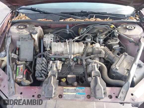 ✅ 2007 Buick LaCrosse CX • VIN: 2G4WC582671135241 • Lot: 43763610. Wystawiony na IAAI z przebiegiem 192 384 mil. Bezpłatny archiwum sprzedaży aukcyjnych z USA i szczegółowy raport historii pojazdu na DreamBid. Zdjęcie 10.