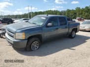✅ 2009 Chevrolet Silverado 1500 LS • VIN: 3GCEC13C29G264354 • Lot: 72361784. Listed on Copart with 228,216 mi. Free auction sales archive from the USA and detailed vehicle history report at DreamBid. Image 1.