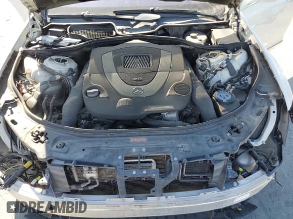 ✅ 2009 Mercedes-Benz S 550 • VIN: WDDNG71X29A273783 • Lot: 65945905. Wystawiony na Copart z przebiegiem 181 347 mil. Bezpłatny archiwum sprzedaży aukcyjnych z USA i szczegółowy raport historii pojazdu na DreamBid. Zdjęcie 11.