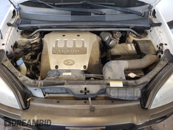 2006 Hyundai Tucson GLS z VIN KM8JN72D36U424123, wystawiony jako Copart lot #66989924 z przebiegiem 153 459 mil mil oraz Czysty tytuł • Clean title. Historia ofert i sprzedaży dostępna na DreamBid. Obrazek 12.