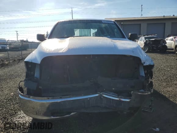 ✅ 2010 Dodge 1500 SLT • VIN: 1D7RV1GT5AS202911 • Lot: 41792975. Wystawiony na Copart z przebiegiem 227 118 mil. Bezpłatny archiwum sprzedaży aukcyjnych z USA i szczegółowy raport historii pojazdu na DreamBid. Zdjęcie 5.