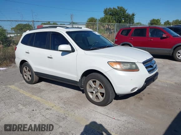 ✅ 2007 Hyundai Santa Fe SE • VIN: 5NMSH13E27H042520 • Lot: 43615797. Listed on IAAI with 236,954 mi. Free auction sales archive from the USA and detailed vehicle history report at DreamBid. Image 1.