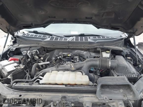 ✅ 2021 Ford F-150 XL • VIN: 1FTEW1EP6MFA23995 • Lot: 42327808. Wystawiony na IAAI z przebiegiem 150 744 mil. Bezpłatny archiwum sprzedaży aukcyjnych z USA i szczegółowy raport historii pojazdu na DreamBid. Zdjęcie 10.