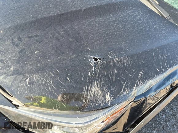 ✅ 2023 Subaru Outback Premium • VIN: 4S4BTADC4P3213628 • Lot: 43933995. Listed on IAAI with Not provided. Free auction sales archive from the USA and detailed vehicle history report at DreamBid. Image 20.