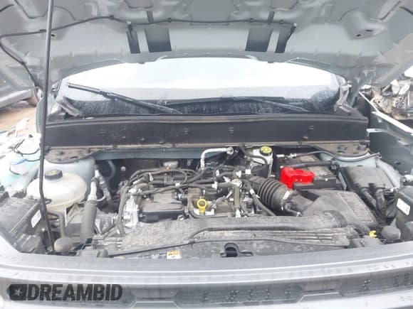 ✅ 2024 Ford Bronco Sport Big Bend • VIN: 3FMCR9B69RRE68231 • Lot: 43505407. Listed on IAAI with 17,149 mi. Free auction sales archive from the USA and detailed vehicle history report at DreamBid. Image 10.